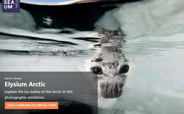 博物館行業(yè)網(wǎng)站建設(shè)